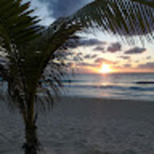 Meet your Posher, Mike & laine